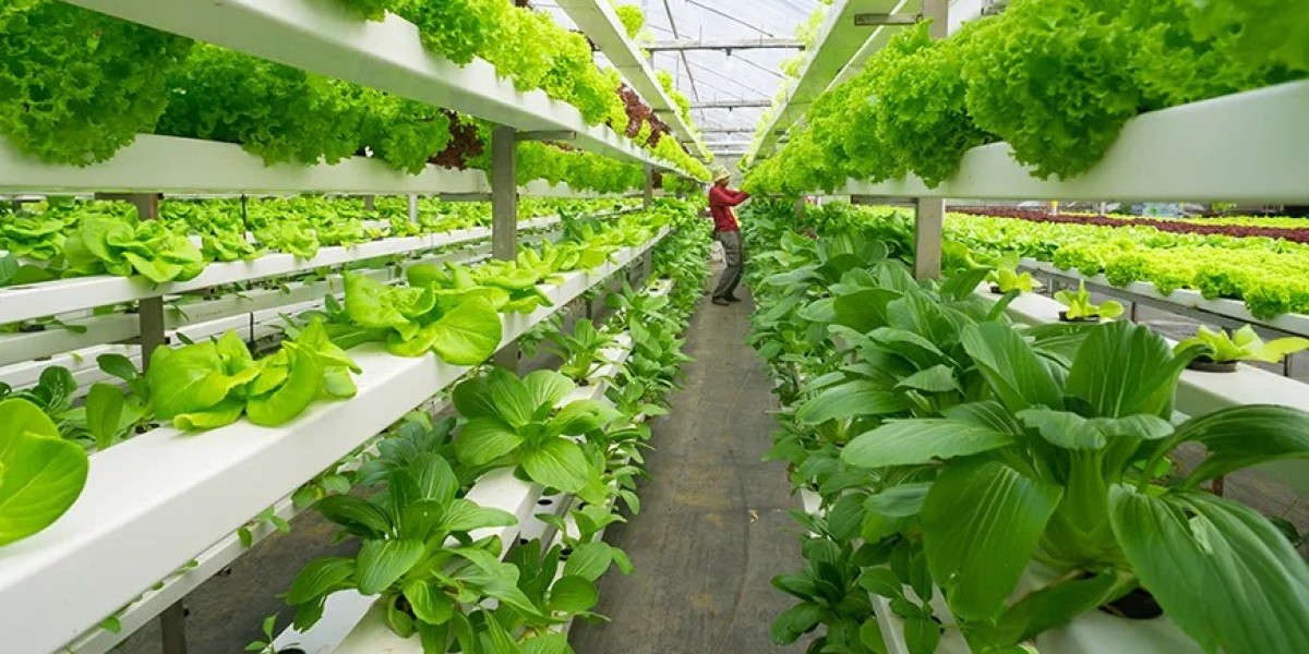 Will Vertical Farming Market Reach $25.14 Bn by 2030—What’s Driving This Surge?