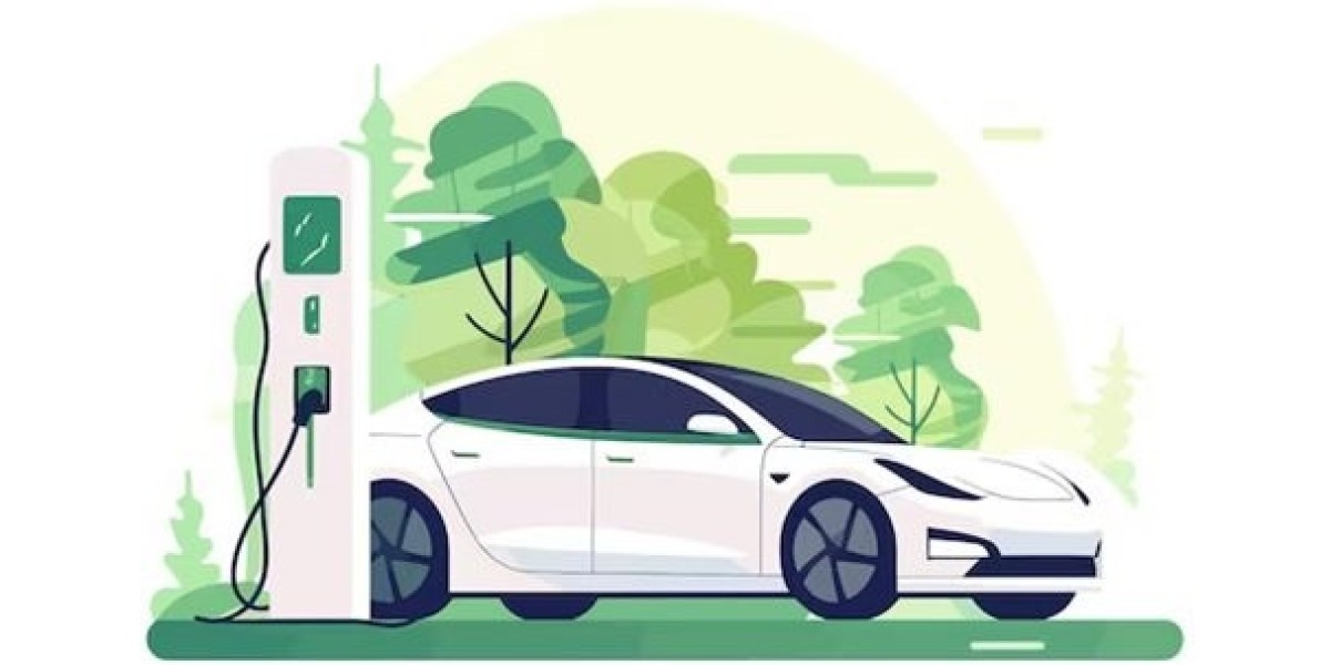 Sea Hawk Travels Commits to Reducing Carbon Emissions by Expanding Electric Fleet by 2030: A Collective Responsibility