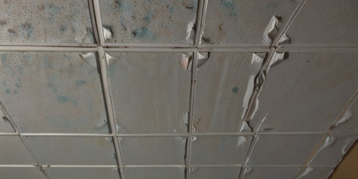 Ceiling Tiles Manufacturing Plant Report 2025: Project Details, Machinery Requirements and Cost Analysis