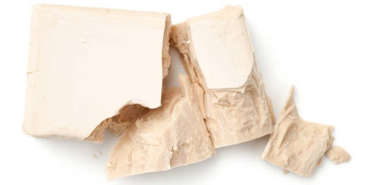 Compressed Yeast Market Insights: Consumer Demand, Technological Innovations, Sustainability Trends, and Regional Growth