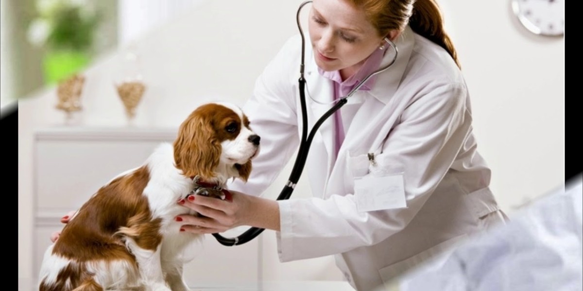Veterinary Vaccines Market: Exploring the Integration of Blockchain Technology in Supply Chain Management