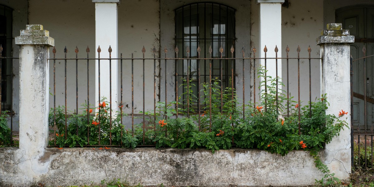 Vintage Vibes: Composite Heritage Door Designs
