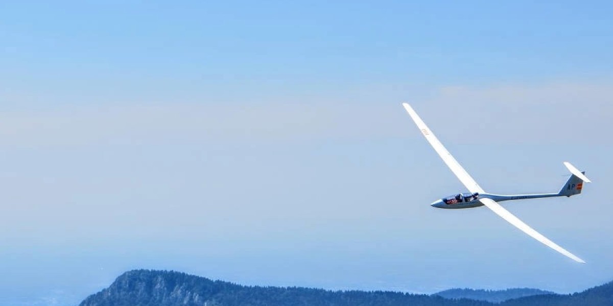 What is the process of delta flight check in online?