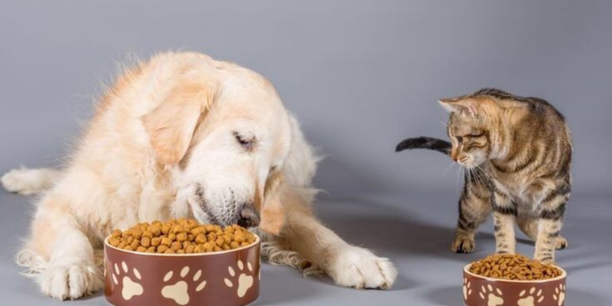 Low-Calorie Dog Treats: Healthy Rewards for Happy Pets