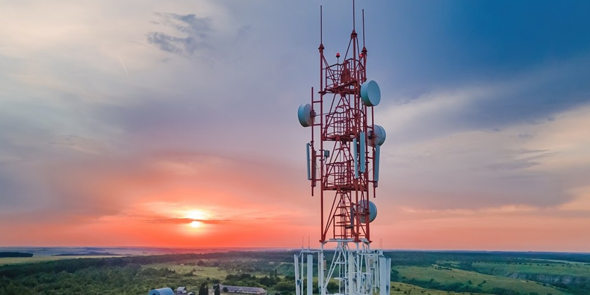 Guide to Telecom Tower Power System Market: Size, Share, and Competitive Landscape