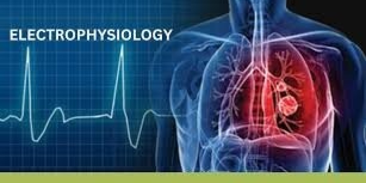 "Electrophysiology Market Outlook 2025: Rising Demand for Cardiac Diagnostics and Catheter Ablation"