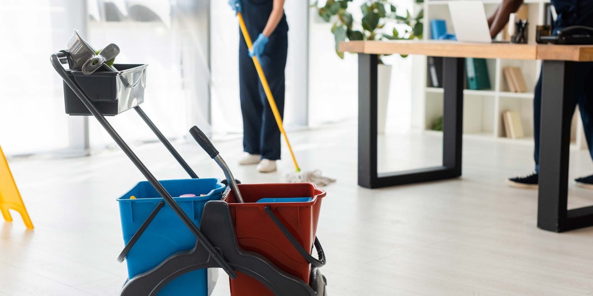 Professional Cleaners in Vancouver: Elevate Your Living Space with Expert Cleaning
