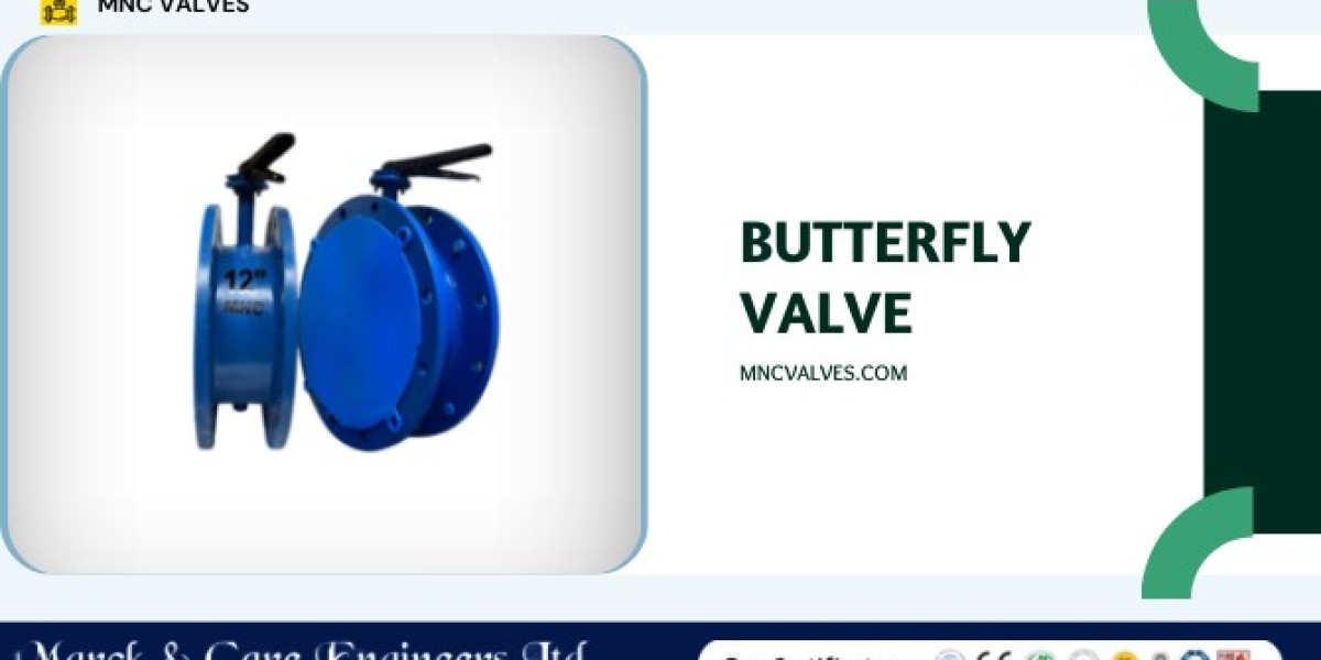 Butterfly Valve Manufacturers in India
