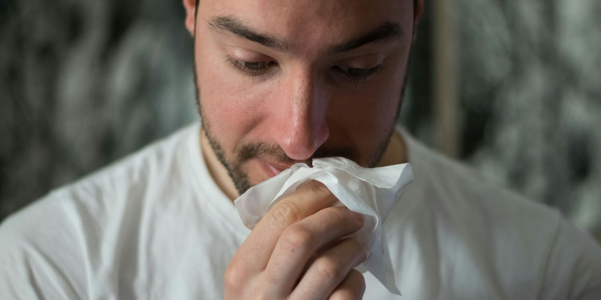 What Environmental Allergies Can an Allergist Treat?