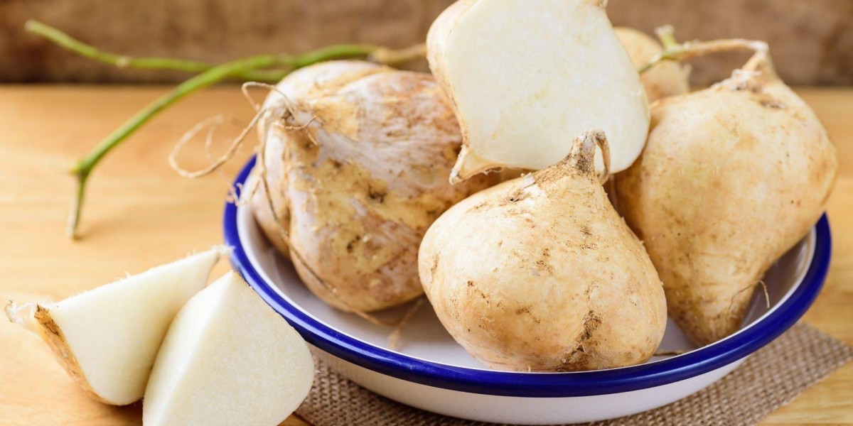 Key Steps for Setting Up a Jicama Manufacturing Plant: In-Depth Project Overview