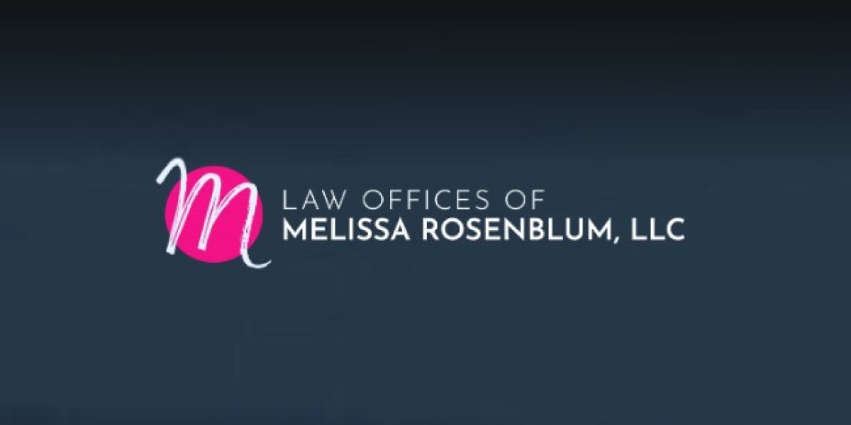 The Power of Persistence: How Attorney Melissa Rosenblum Wins Tough Cases