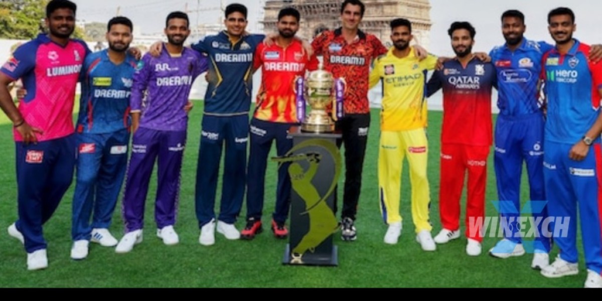 Tata IPL 2025 Mid-Season Standings: GT and DC Lead the Pack as CSK Slip to the Bottom