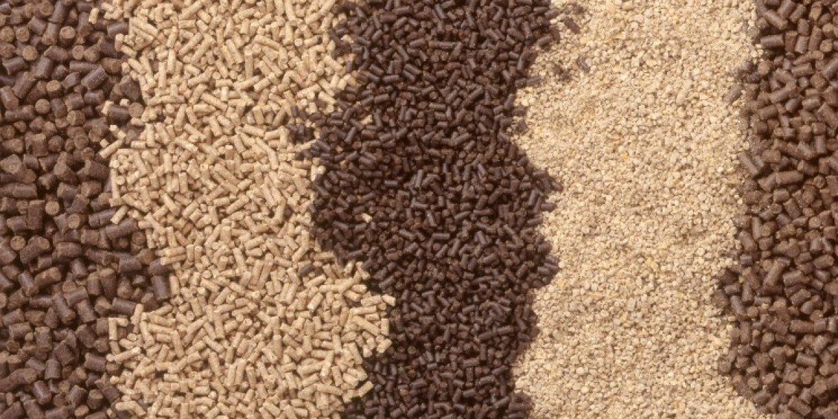 Feed enzymes market exploring the global growth potential of the animal nutrition industry worldwide