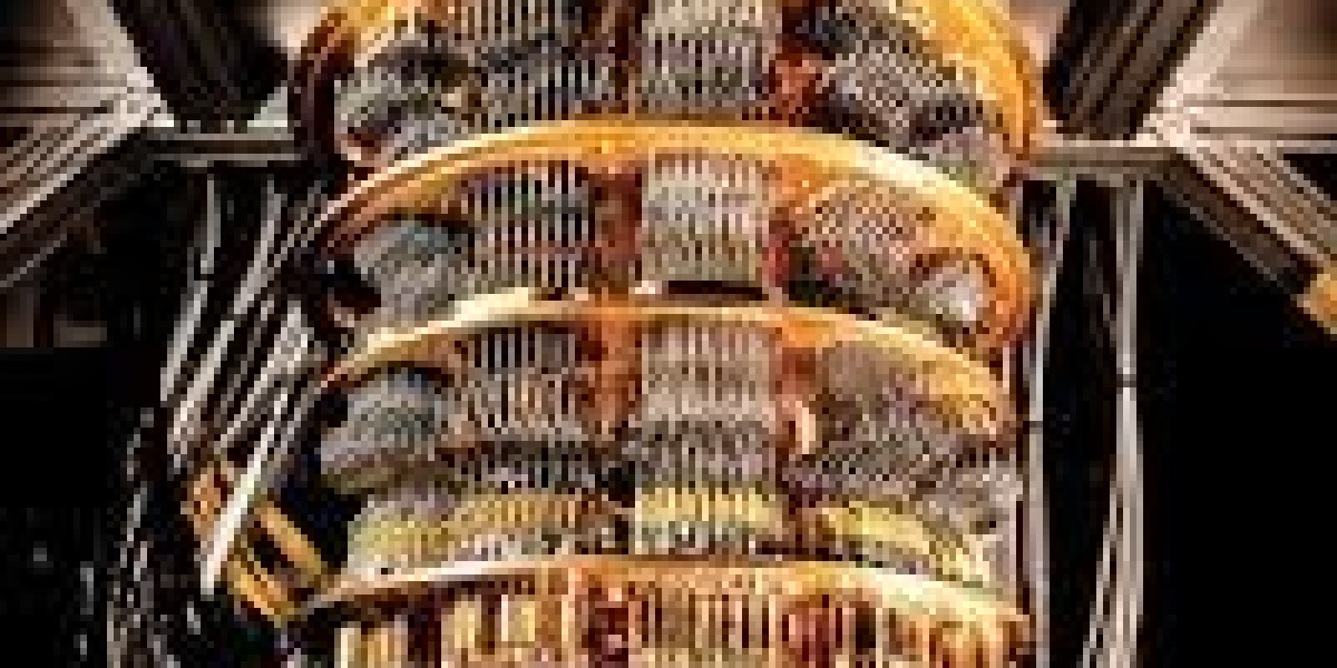 Quantum Computing Market: Understanding the Impact of Quantum Innovations on the Future of Computing
