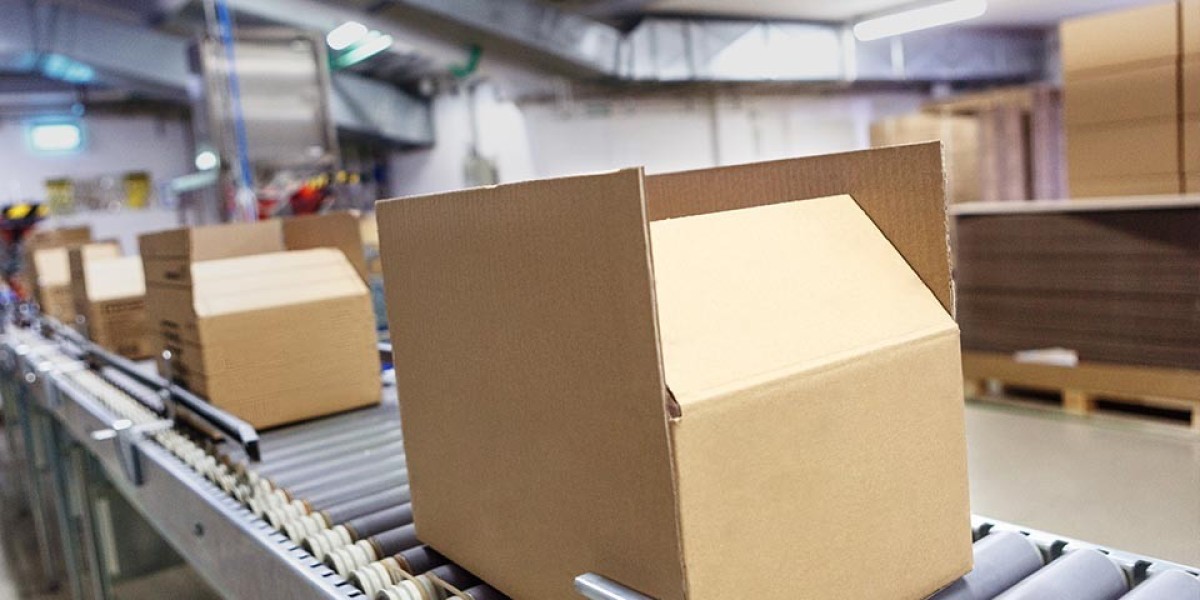 Wrap Around Cartoners Market Dynamics: Key Market Drivers and Challenges in the Global Packaging Industry