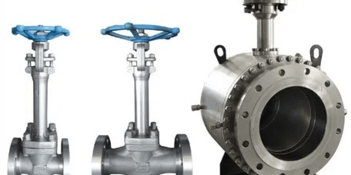 Key Competitive Players in the Cryogenic Valve Industry – 2025 Edition