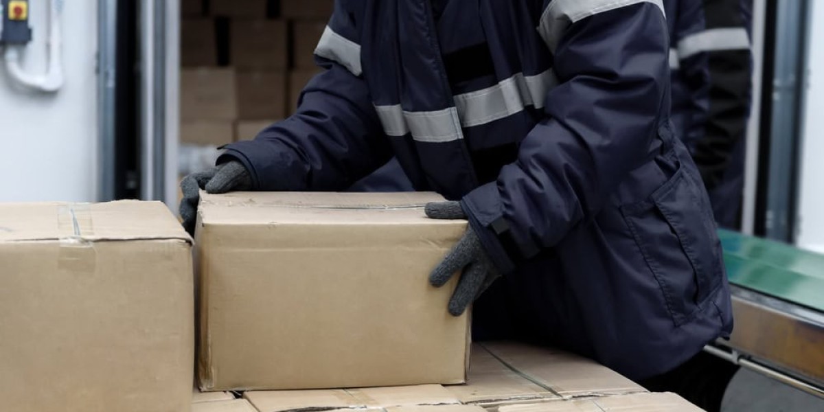Cold Chain Packaging Market Confronts Supply Chain Disruptions and Capacity Constraints