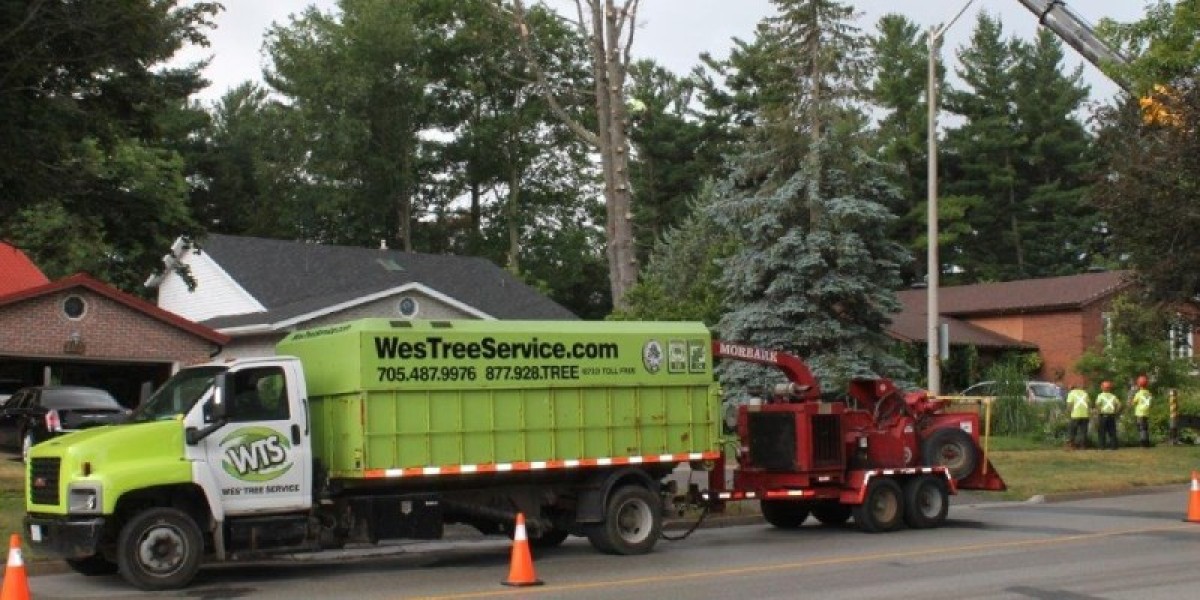 Emergency Tree Removal: Swift Solutions When You Need It Most