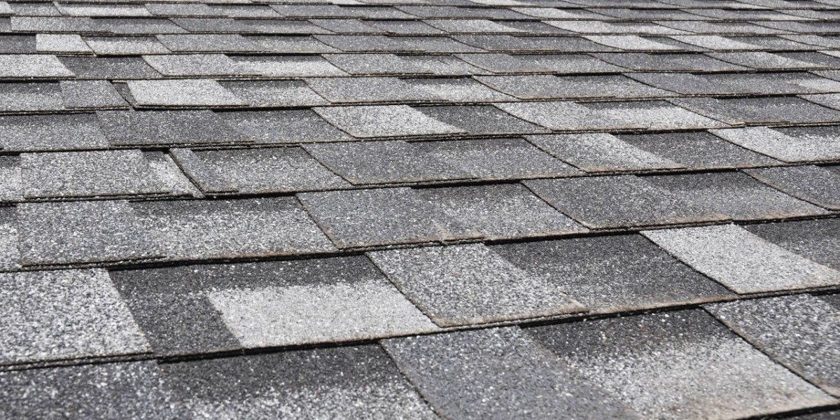 Asphalt Shingles Market Insights Reveal Shift Toward High-Performance Shingles in Extreme Weather Regions