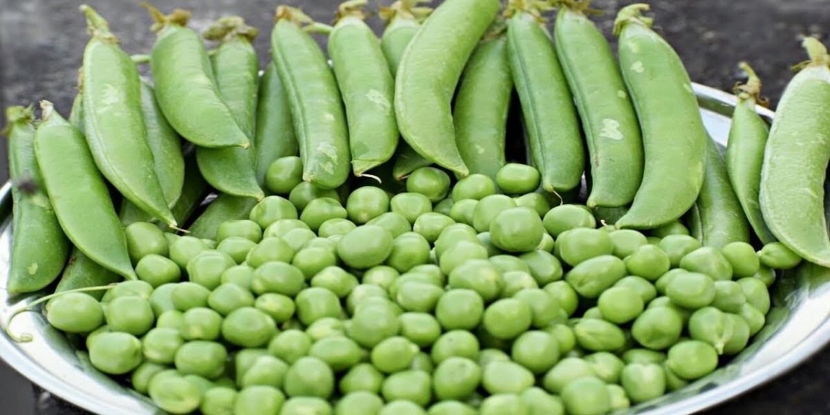 Pea Fiber Market Witnessing Growth Through Expansion in Animal Nutrition and Pet Food Sectors