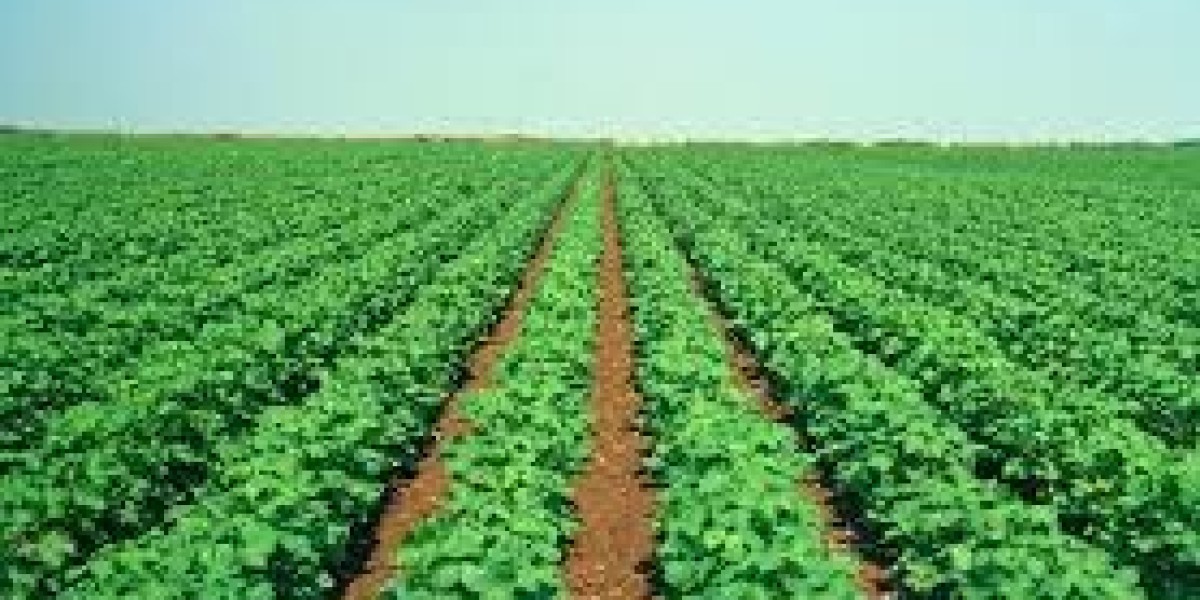 Agricultural Fumigant Market Innovations Enhancing Soil Fumigation Practices