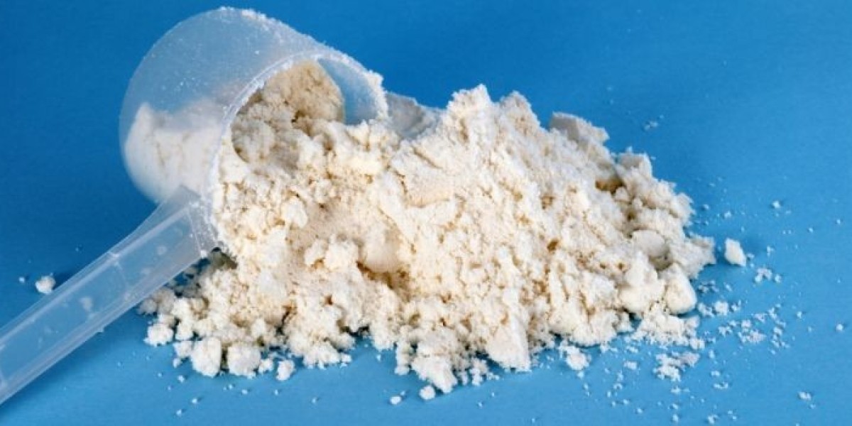 Electrolyte Powder Market: Growth, Trends, Opportunities, and Forecasts Shaping the Future Expansion