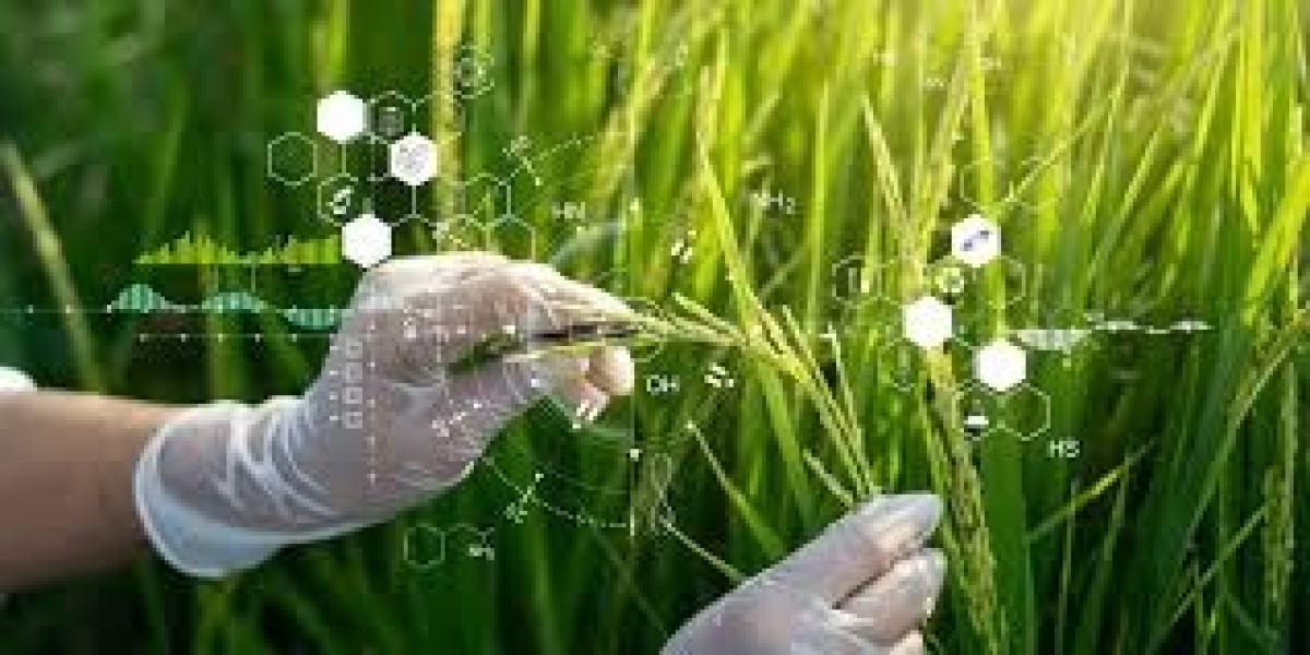 Agrigenomics Market: Trends, Growth, and Future Outlook