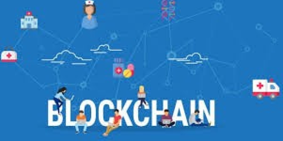 Blockchain in Healthcare Market: A Comprehensive Analysis by Application Segment