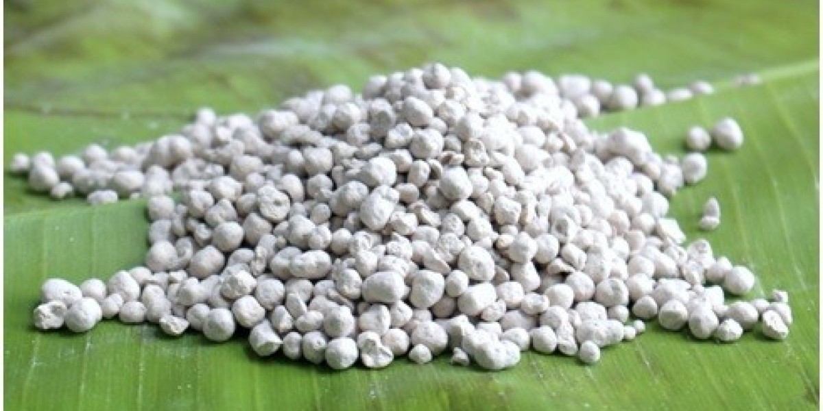 The Role of Silicon Fertilizer in Combating Abiotic and Biotic Stresses