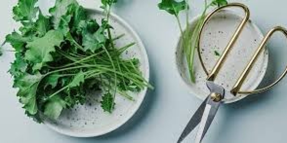Lutein Market Outlook: Regional Insights and Forecasting Growth Across Different Markets