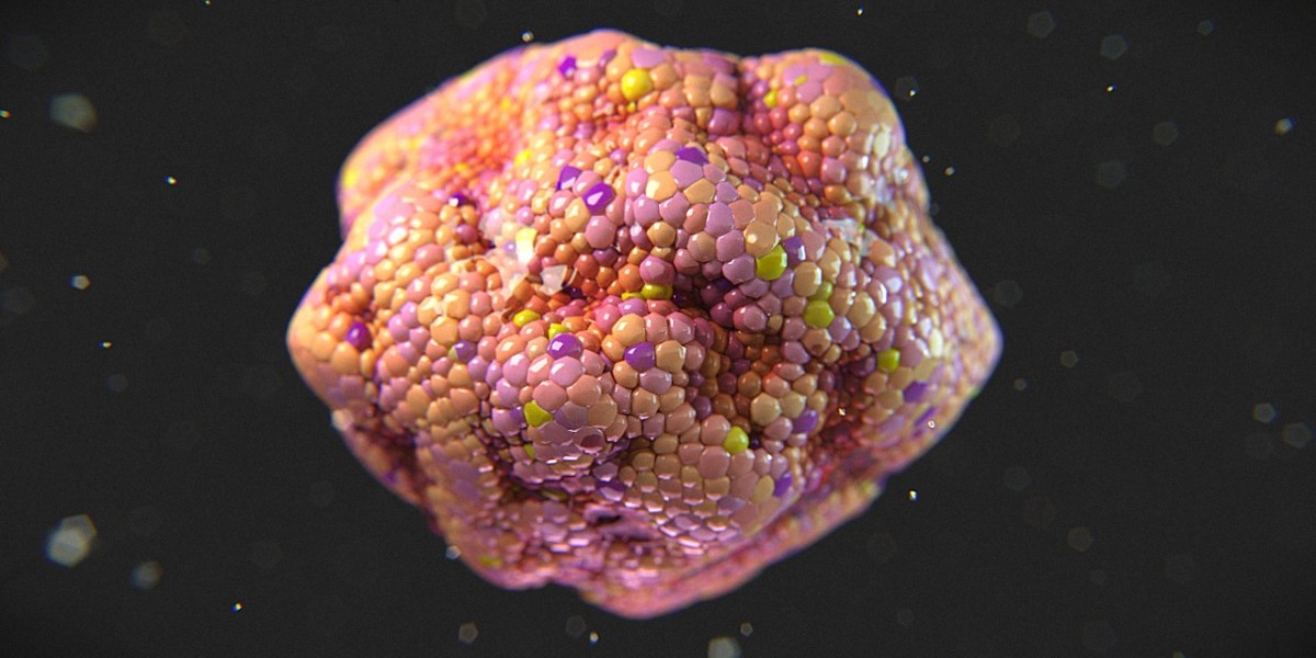 Organoids Market Size & Forecast (2025–2035): Key Drivers and Trends