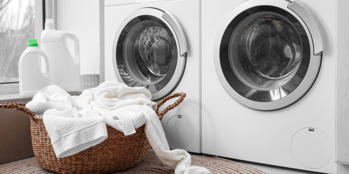 Washing Machine Market Segmentation: High-Efficiency vs. Traditional Models