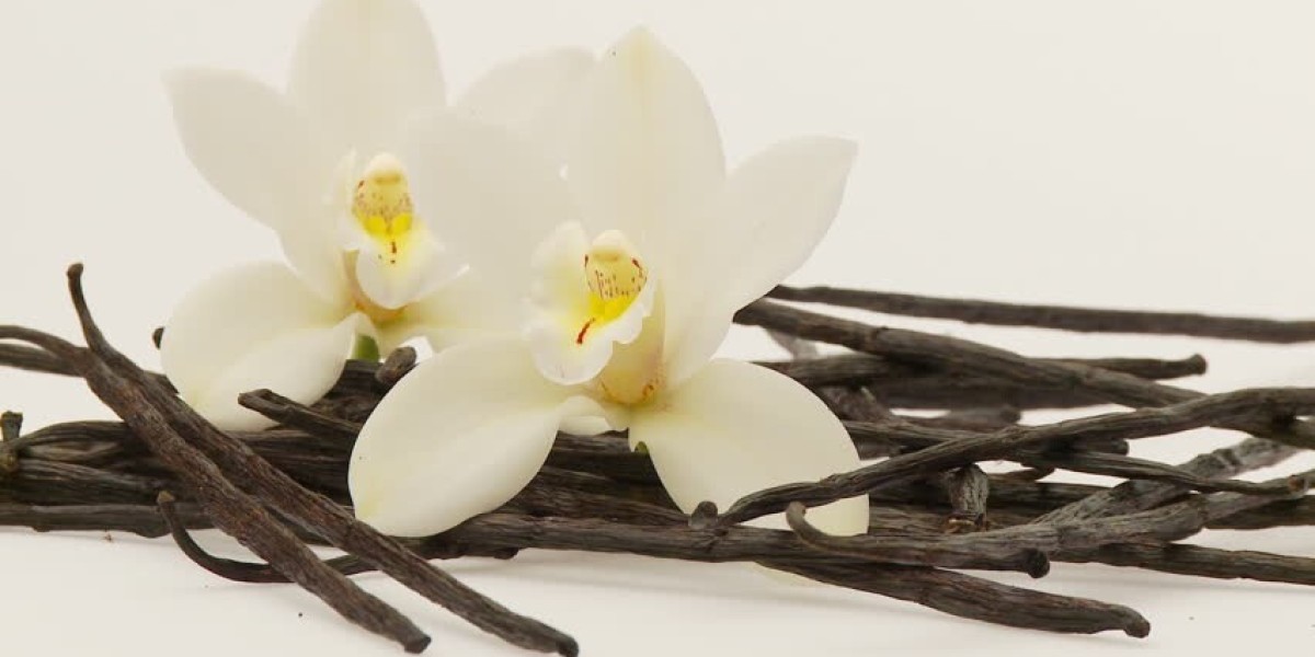 Vanilla Market Status,Growth,Trends and Outlook - 2031