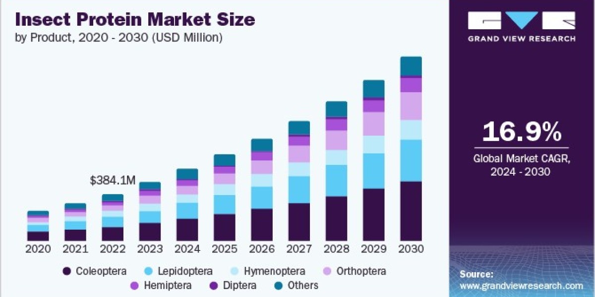 Insect Protein Market Broadens with Diverse Product Offerings Across Food Sectors