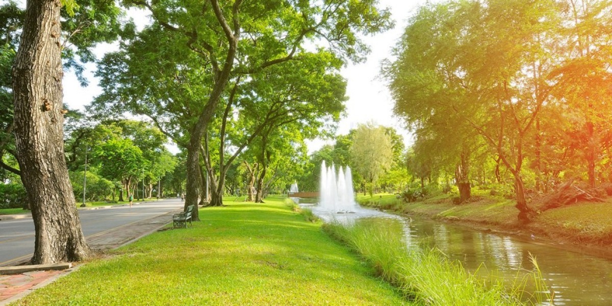 How Nature and Green Spaces Lift Your Mind in Cities
