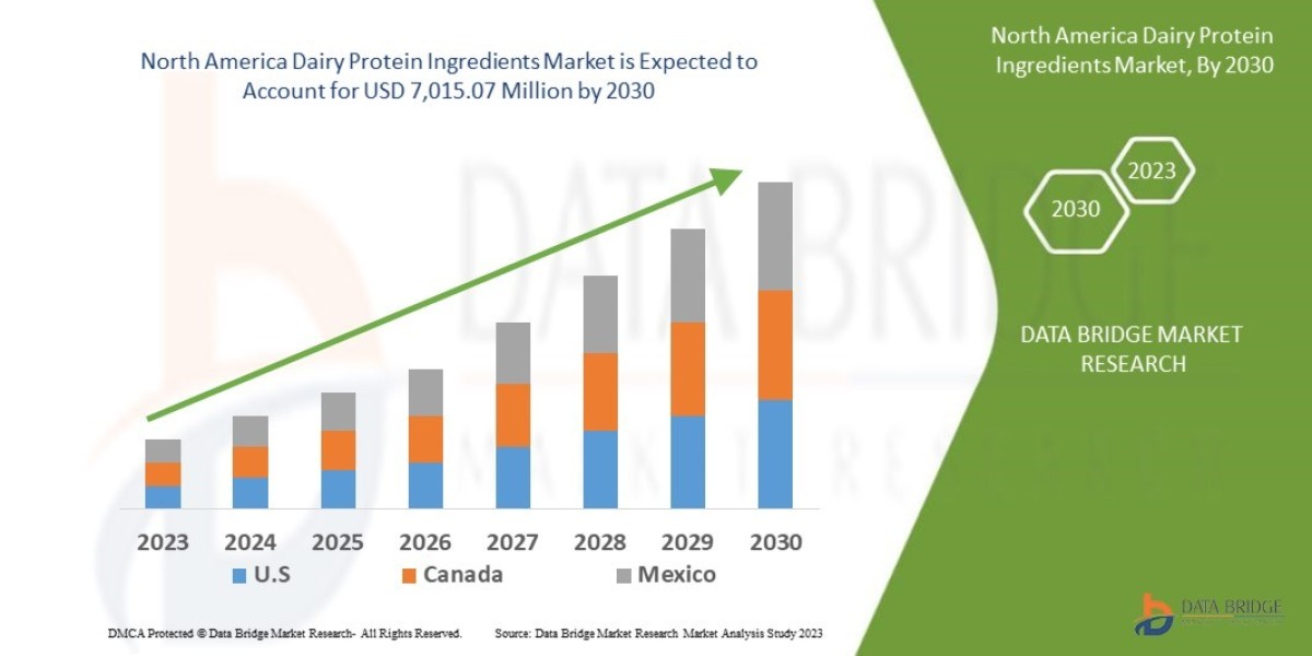 North America Dairy Protein Ingredients Market, Size, Share Trends, Growth Opportunities and Industry