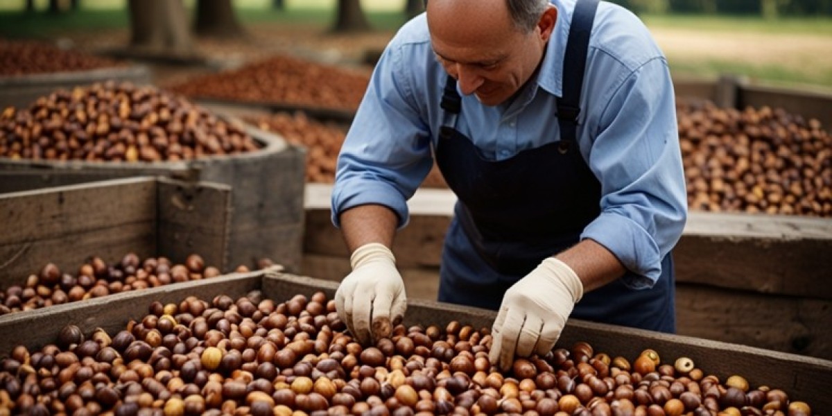 Chestnut Processing Plant Project Report 2025: Machinery and Technology Requirements