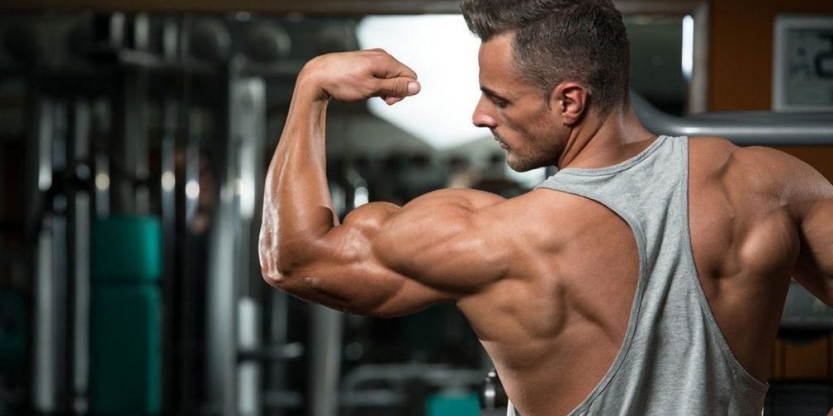 Understanding the Key Testosterone Esters in Sustanon 250 and Their Role in Bodybuilding