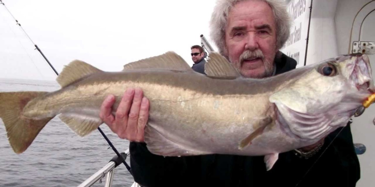 Wild Pollock Market Expected to Grow with Rising Popularity of Seafood-Based Meal Kits