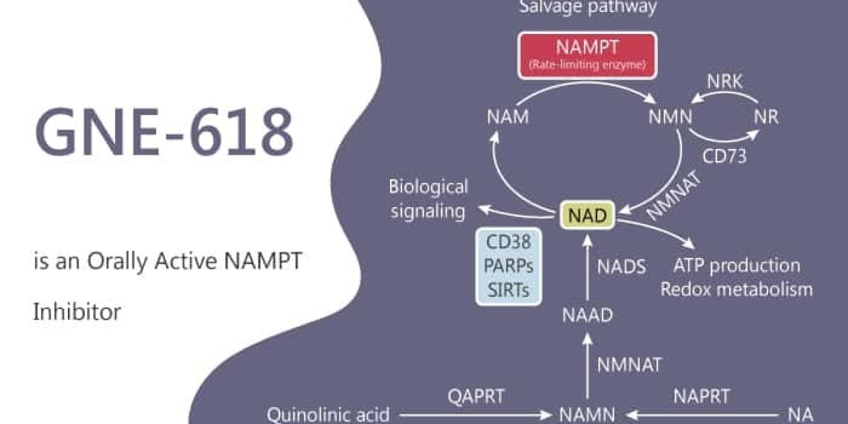 NAMPT Inhibitors Pipeline Analysis Market Analysis, Growth, Trend and Forecast 2031
