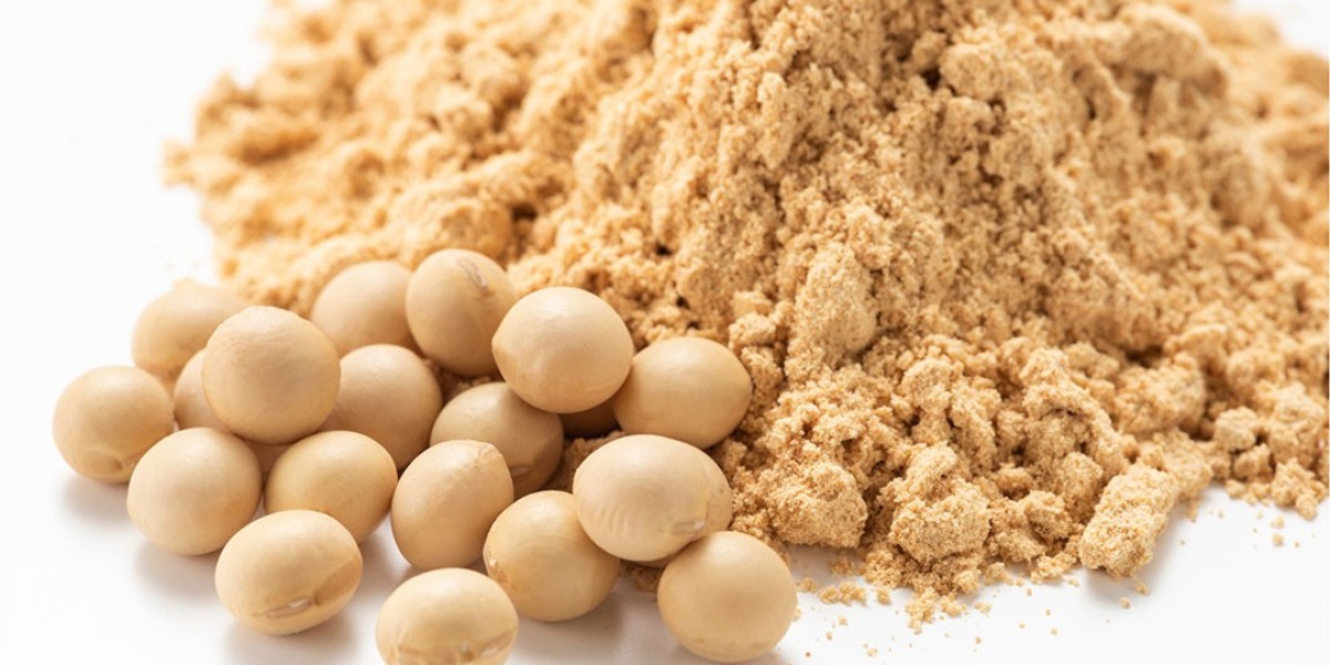 Soy Protein Concentrate Market: Challenges and Opportunities in the Plant-Based Protein Industry