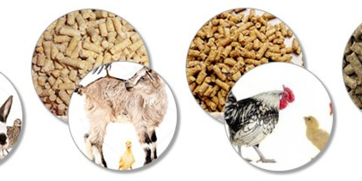 Animal Nutrition Market Forecast: Key Projections for Growth and Innovation Through 2030