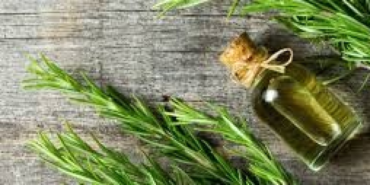 Rosemary Extract Market: Innovations, Trends, and Future Growth Opportunities