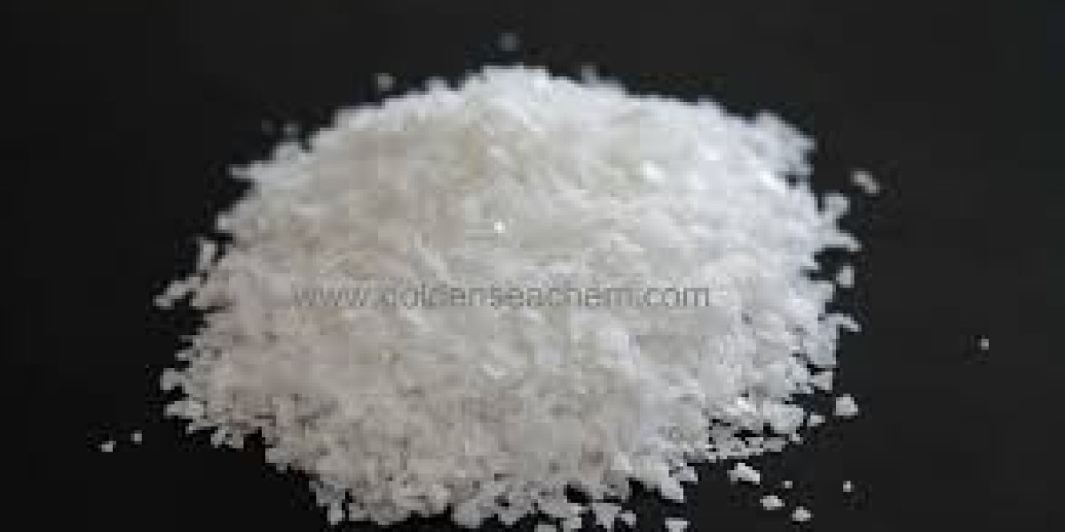 Polyethylene Wax Market Regional Outlook: Key Growth Markets and Expansion Opportunities in 2025