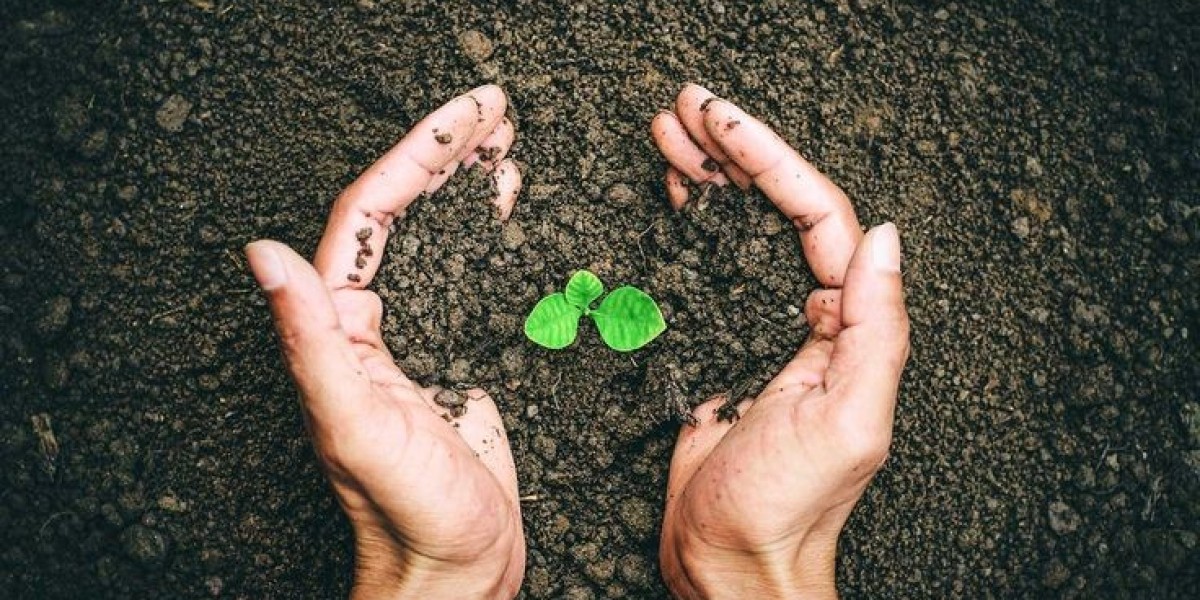 Humic Acid Market Strategic Moves: Key Developments, Partnerships, and Market Expansion Plans