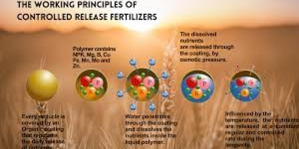 Feeding the Future: Growth of the Controlled Release Fertilizers Market