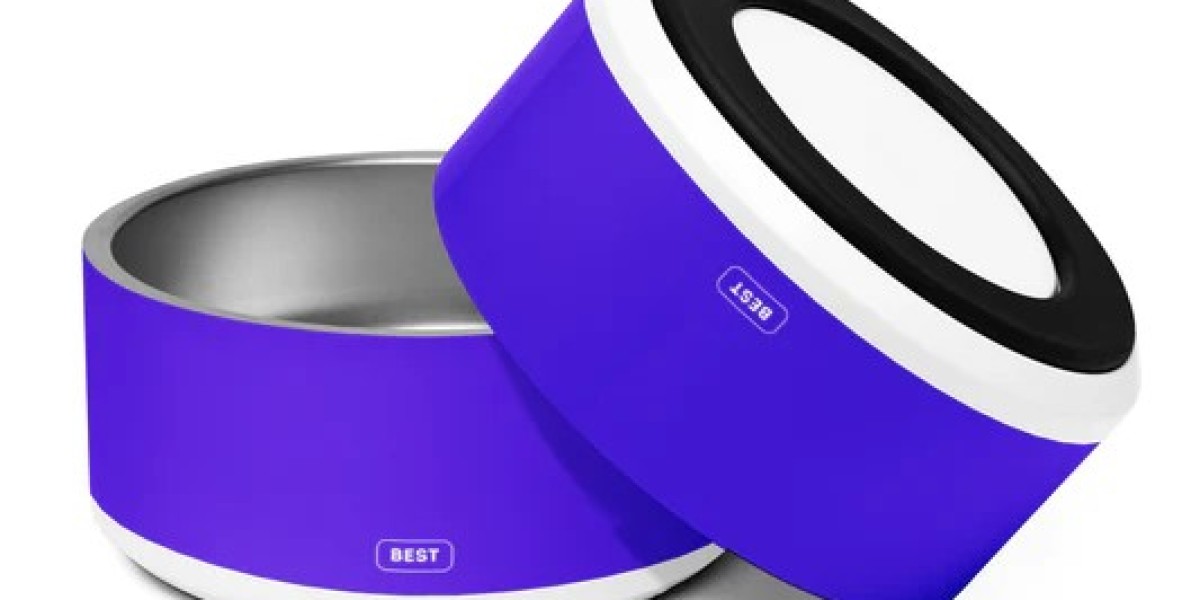 Personalized Dog Bowls That Add a Special Touch to Feeding Time