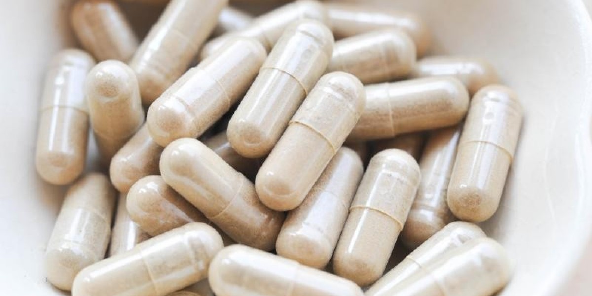 Detailed Insights into the Rapid Expansion of the Global Women Probiotics Market