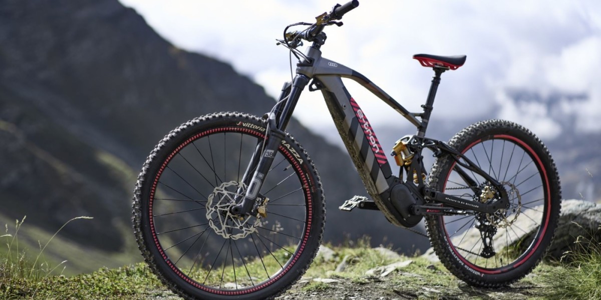 France Mountain E-bikes Market Set for Rapid Expansion