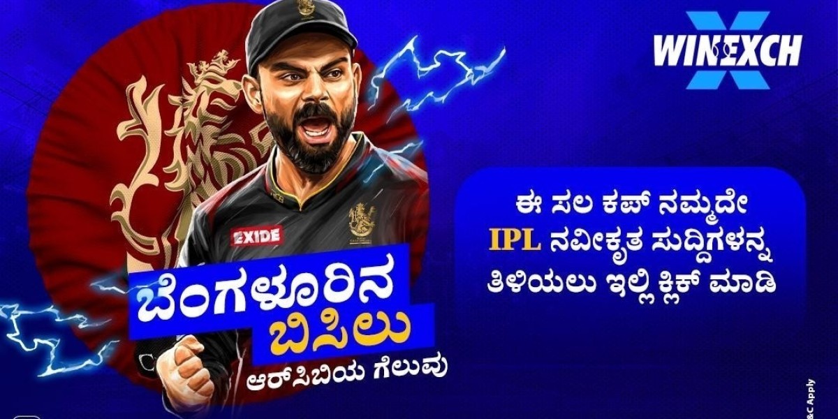 IPL 2025 Playoff Race: Who Are the Most Likely Final Four?